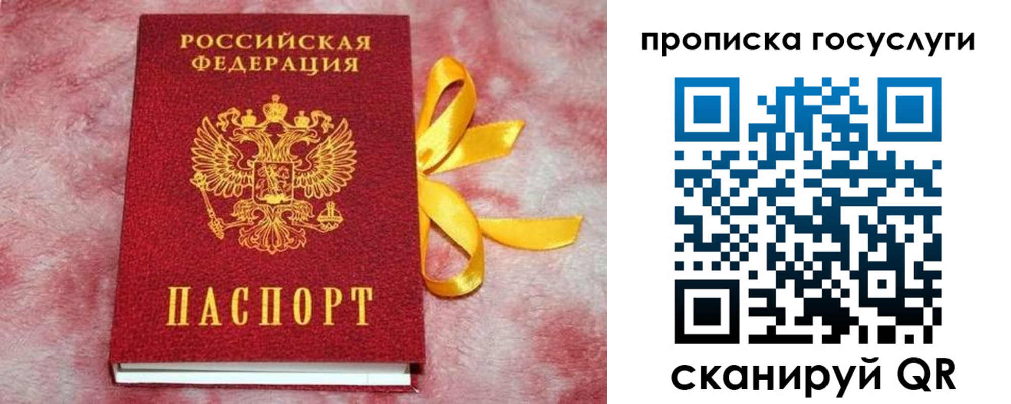 регистрация в Нелидово